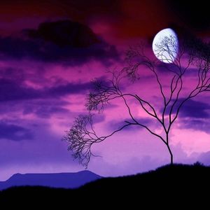 Meet your Posher, Lynne